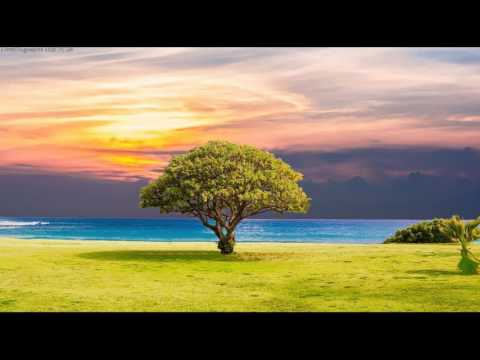 NewProgressive Mix Pt. 24 (Melodic Progressive Mix)