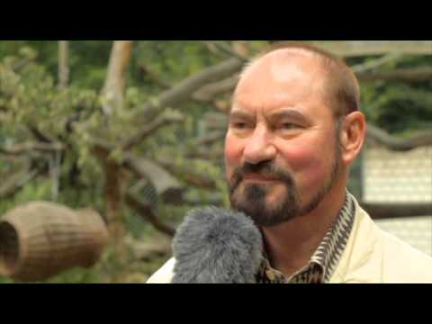 Zukunft des Tierparks Burg Stargard