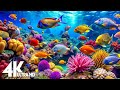 Aquarium 4K Ultra HD Stunning Coral Reef Fish With Relaxing Meditation Music For Sleep