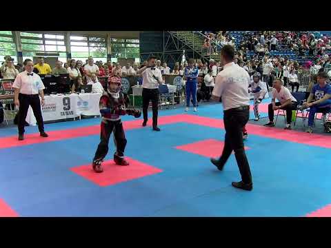 Team Renegade v WAKO Hungary Hungarian Kickboxing World Cup 2023