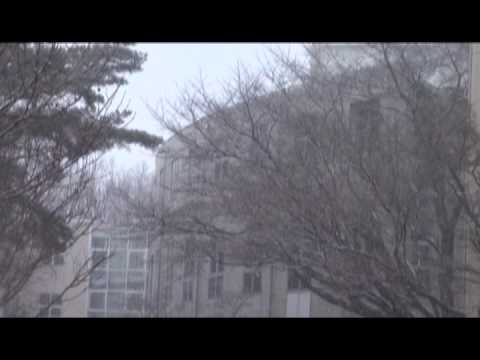 人間コミュニケーション学科 常磐大学 見和キャンパス 雪景色