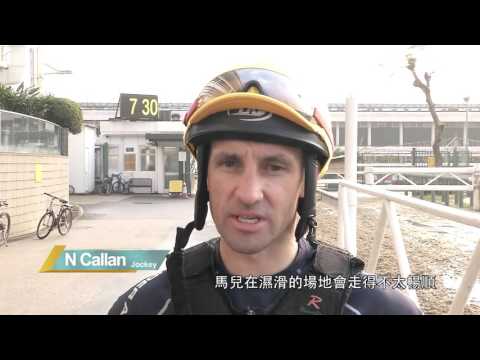 [2016 冠軍一哩賽及主席短途獎 Champions Mile & Chairman's Sprint Prize]「美麗大師」- 郭能 / Beauty Only -  Callan