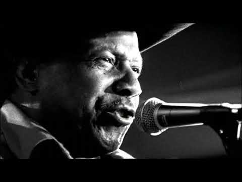 Lonnie Brooks - All My Money Back (1994?)