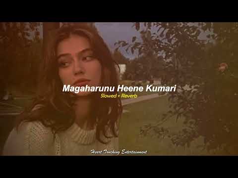 Magaharunu Heene Kumari | මගහැරුනු හීනේ කුමාරී Slowed + Reverb | Heart Touching Entertainment.