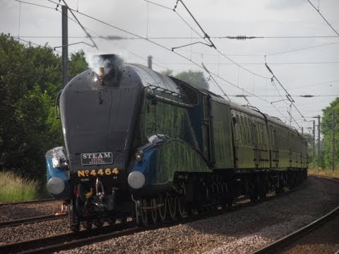 4464 Bittern & the ebor streak FIRST 90mph run through Arlesey & through Peterborough 29/06/13