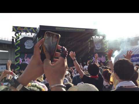 Zedd - Stay The Night feat. Hayley Williams Live @ Summer Sonic 2015