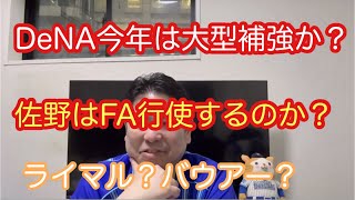 DeNA。今年はFA選手を5選手調査！ライマル来たら横浜優勝ですね。