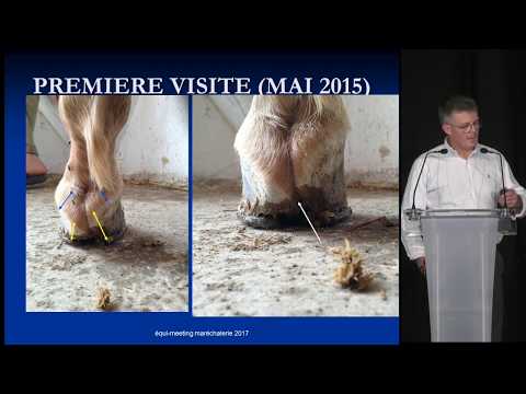 Eric Seltzer - équi-meeting maréchalerie 17 - Gestion d'un pied serré en Tunisie (1/1)