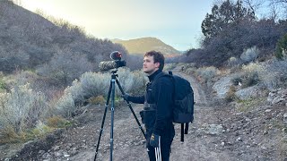 Slow, but Peaceful Birding During the Tail End of Fall