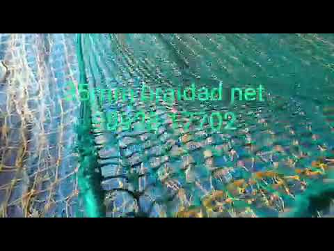 Safety Net