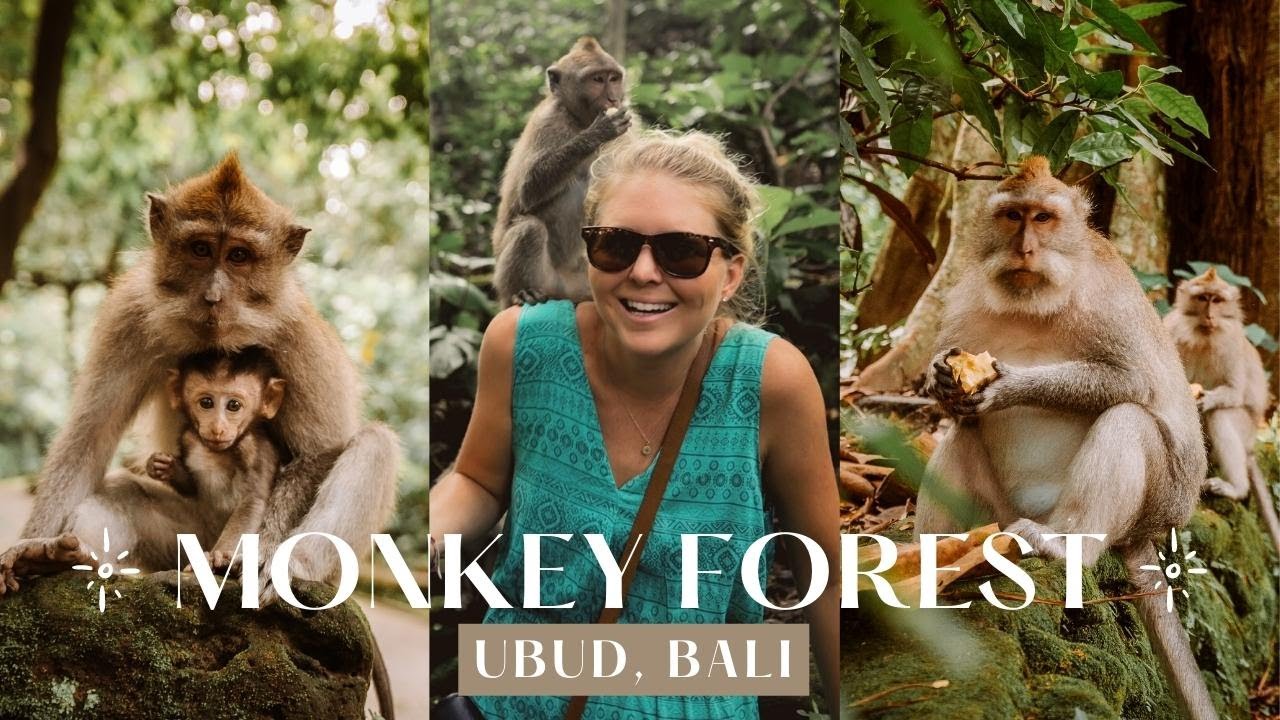 Discover the highlights of the enchanting Ubud Monkey Forest.
