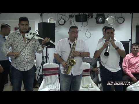 PETRICA VITA & COSTEL PITIGOI ASCULTARI NUNTA ADI & MIHAELA ARMENIS 2016