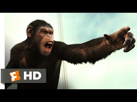 Rise of the Planet of the Apes (2011) - Battle for the Bridge Scene (4/5) | Movieclips