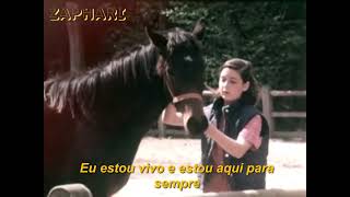 Paul McCartney, Michael Jackson - The Man (Tradução/Legendado)