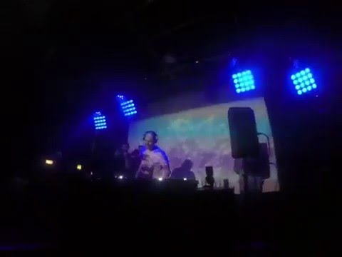 Format b (Jakob) gorilla part 2