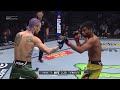 Sean O Malley Vs Raulian Paiva FREE FIGHT UFC 292