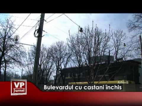 Bulevardul cu castani închis