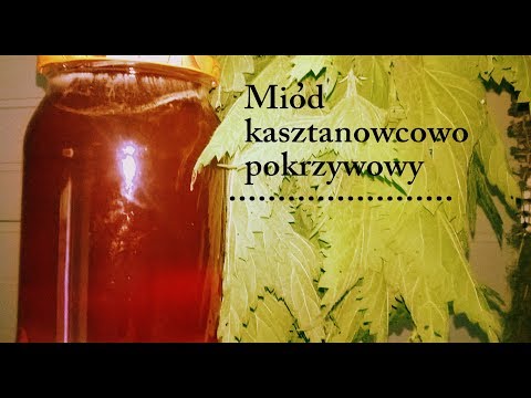 Maska do włosów owoc dla zdjęć Co śni kępki utraty włosów na głowie