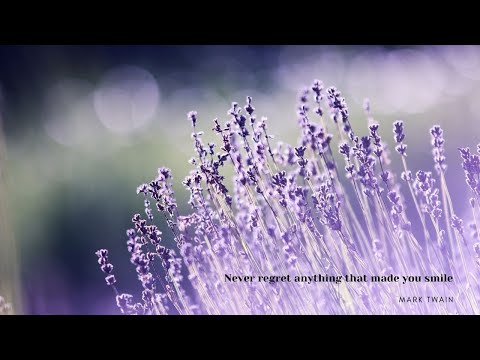 [1HR, Repeat] Ladies in Lavender OST