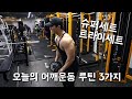 네츄럴은 고중량이 답이다? 누가 그런 소리를 | 오늘의 어깨운동 루틴 3가지 | Shoulder workout