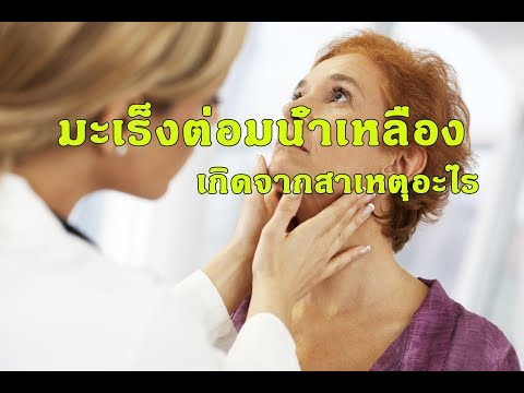 ใส่เต้านมเทียม ขยายขนาดหน้าอกในภาษาจีน
