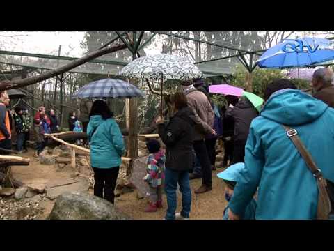 Erlebnisvoliere eröffnet - Neuer Lebensraum im Naturschutztierpark