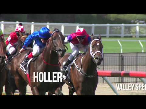 2016 William Hill Manikato Stakes