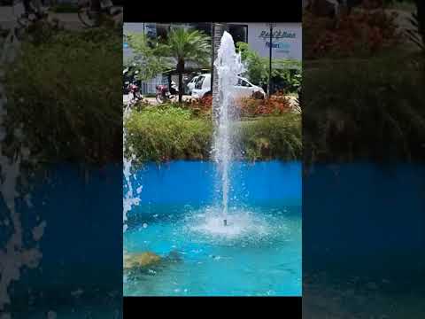 Clipe Holambra Cidade das Flores🎵 #música #shorts #viral Thumbnail de Clipe Holambra Cidade das Flores🎵 #música #shorts #viral
