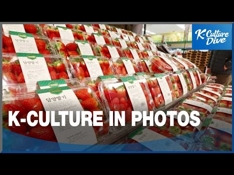 K-Culture in Photos