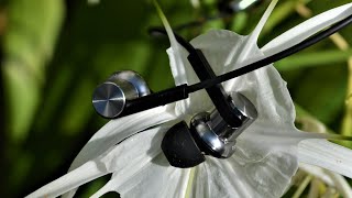 The Best Earphone Under $30 - Mi In-Ear Headphones Pro Review