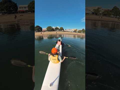 Morning training paddle  #surfski #seakayaking #newzealand #insta360x4