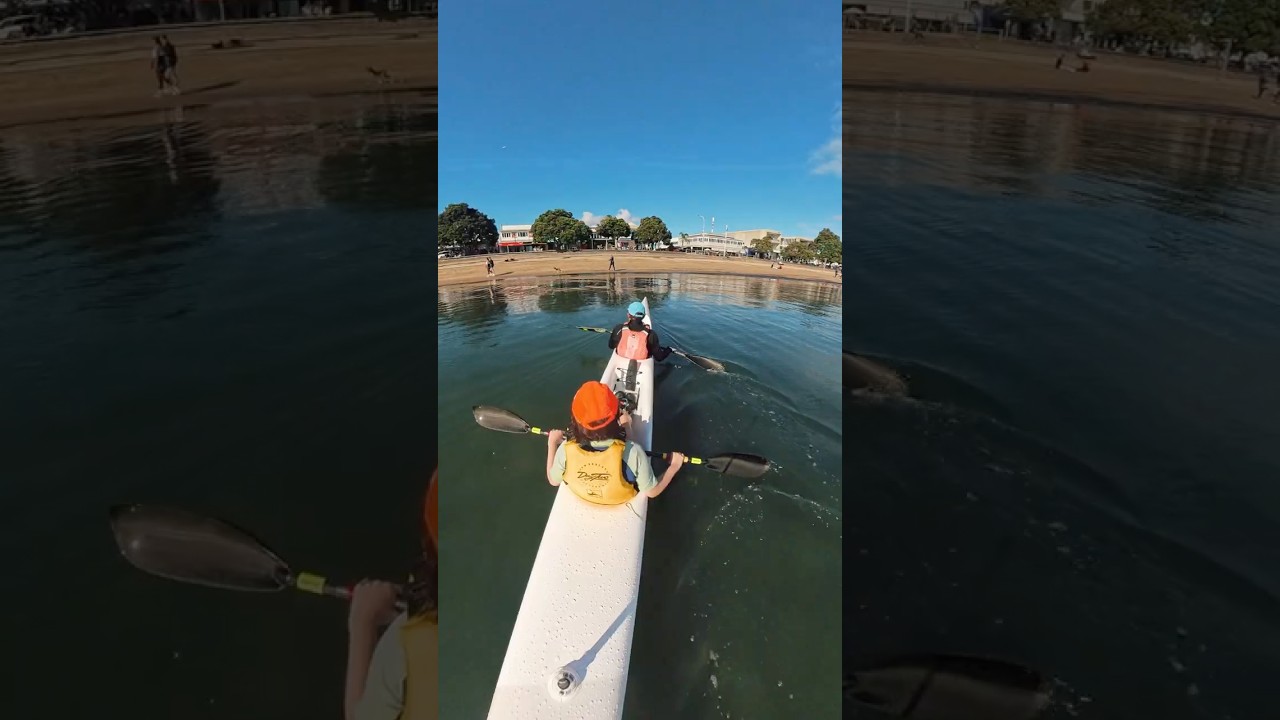 Morning training paddle #surfski #seakayaking #newzealand #insta360x4