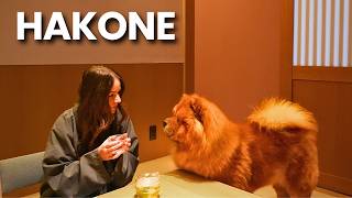 We Stayed In The Most LUXURIOUS Dog Hotel in Hakone, Japan!