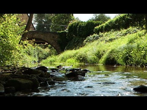 Zeitlos schön - Sommer im Appelbachtal | Fahr mal hin | SWR Fernsehen