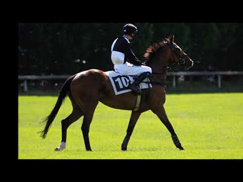 lingarry  hvězda na kterou se nezapomína