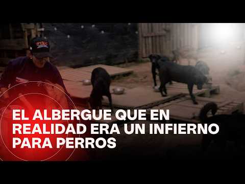 El macabro secreto que guardaba un albergue en Cundinamarca: era el infierno para perros
