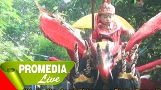 preview picture of video 'Singa Dangdut Warlan Muda - Lemes Dedes'