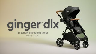 ginger™ dlx