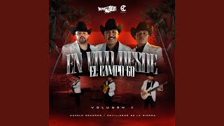 Los Tres Gallos (feat. Novilleros De La Sierra) (En vivo)