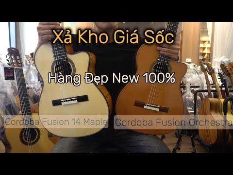 [Xả Kho Guitar Cordoba Giá Sốc] 3 cây Cordoba C7ce, Fusion Orchestra, Fusion 14 Maple (Phần 1)