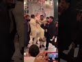 Pakistani Celebrities Dance On Indian Song Shorts Showbiz Dance