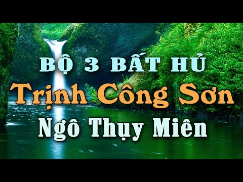 Nhạc Không Lời Bộ 3 Bất Hủ TRỊNH CÔNG SƠN, NGÔ THỤY MIÊN, VŨ THÀNH AN - Một Cõi Đi Về, Diễm Xưa