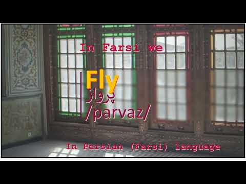 The meaning of Fly in Persian or Farsi پرواز parvaz