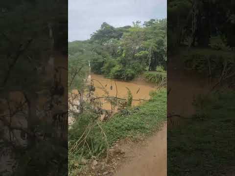 vía de la hacienda mandinga que bordea el río Man #Cáceres #caucasia #antioquia