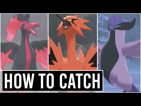 How To Catch Galarian Zapdos , Moltres , Articuno - CROWN TUNDRA