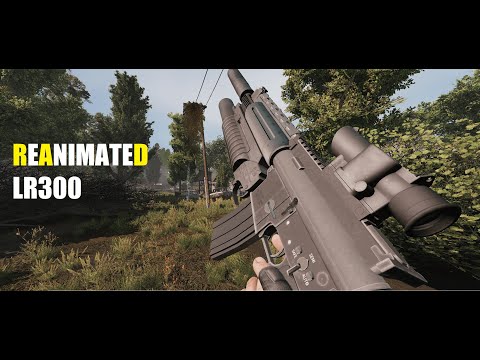 STALKER: Radon's Reanimated LR300 1.5