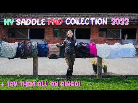 MY SADDLE PAD COLLECTION 2022 | PLUS A RINGO TRY ON!
