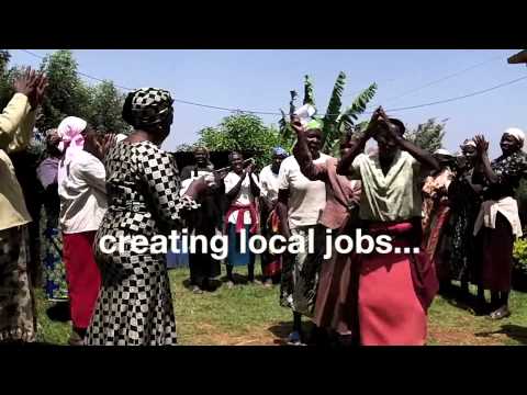 Empowering Rural Kenyans through Reforestation