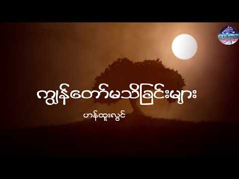 ကျွန်တော်မသိခြင်းများ - ဟန်ထူးလွင် (Big Bag) lyrics video