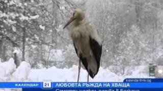 113506872056790_21856.mp4